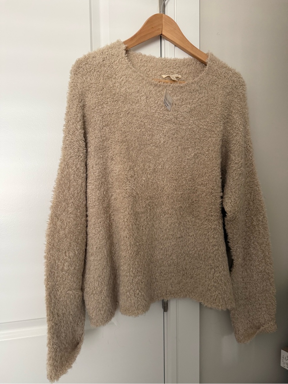 Eileen Fischer brand Cozy Women's Beige Plush Crewneck Sweater Small